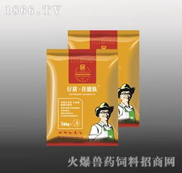 仔猪佳能肽 专注黄白痢防治，守护猪群健康源动力